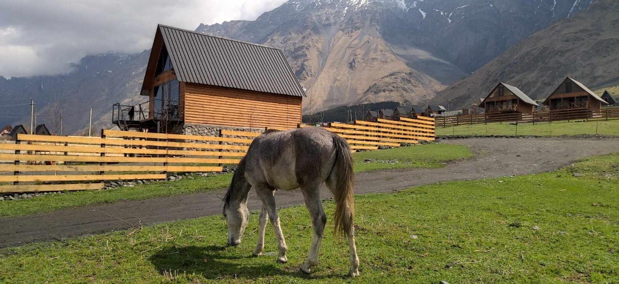 Traveler'S Cottages In Kazbegi 외부 사진